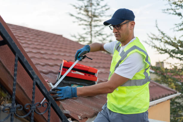 Best Wall Insulation Installation  in North Hartsville, SC